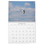 Vogels van de Zeeen en Wateren Kalender (Jan 2027)