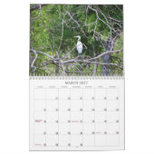 Vogels van de Zeeen en Wateren Kalender (Mar 2027)