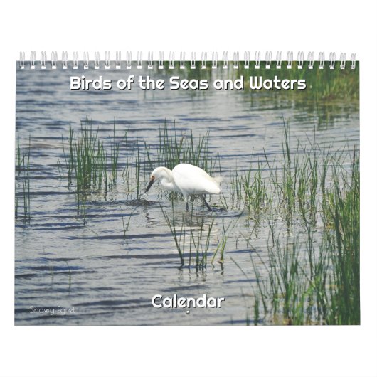 Vogels van de Zeeen en Wateren Kalender (Hoes)