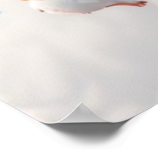 Vogels van dezelfde veer poster (Hoek)