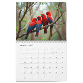 Vogels van dezelfde Veer Vliegen Samen 2026 Kalend Kalender (Jan 2027)