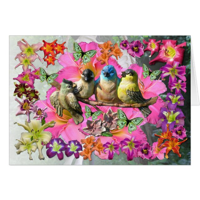 Vogels van een doezelaar (Voorkant Horizontaal)