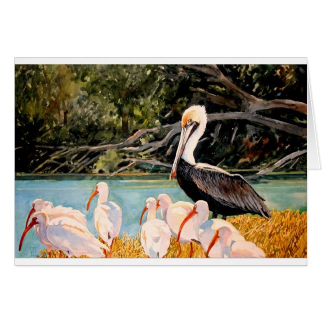 Vogels van een doezelaar (Voorkant Horizontaal)