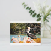 Vogels van een doezelaar briefkaart (Staand voorkant)