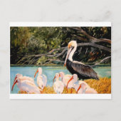 Vogels van een doezelaar briefkaart (Voorkant)