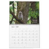 Vogels van een doezelaar kalender (Mar 2027)