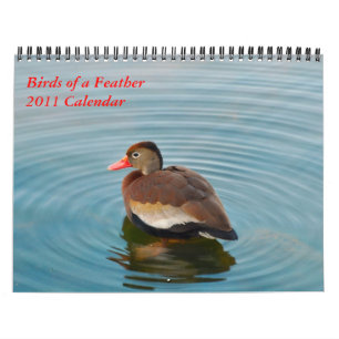 Vogels van een doezelaar kalender