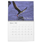 Vogels van een doezelaar kalender (Feb 2026)