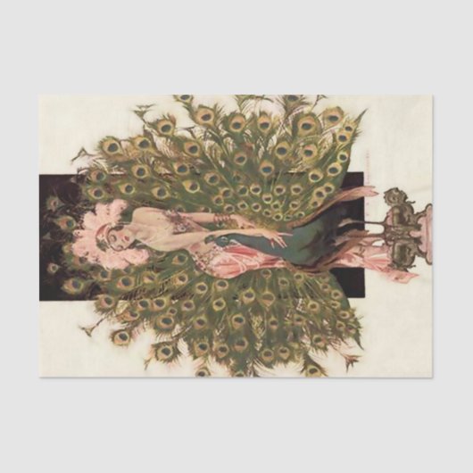 "Vogels van een doezelaar" van FX Leyendecker Tissuepapier (Voorkant)