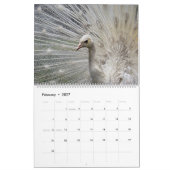Vogels van een Faeröer Peacock-kalender Kalender (Feb 2027)