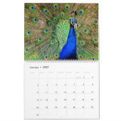 Vogels van een Faeröer Peacock-kalender Kalender (Jan 2027)