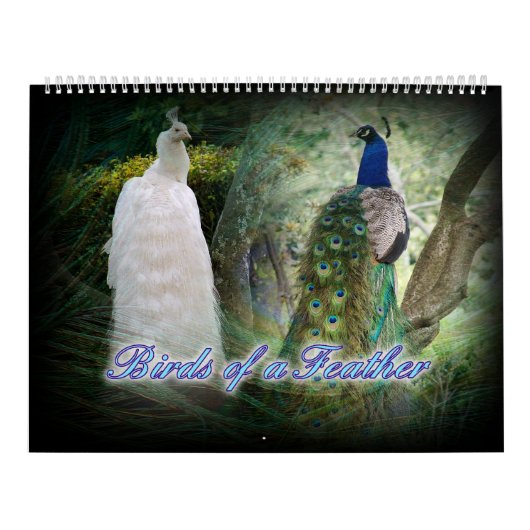 Vogels van een Faeröer Peacock-kalender Kalender (Hoes)