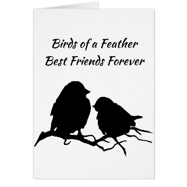 Vogels van een Feather Best Friends Forever (Voorkant)