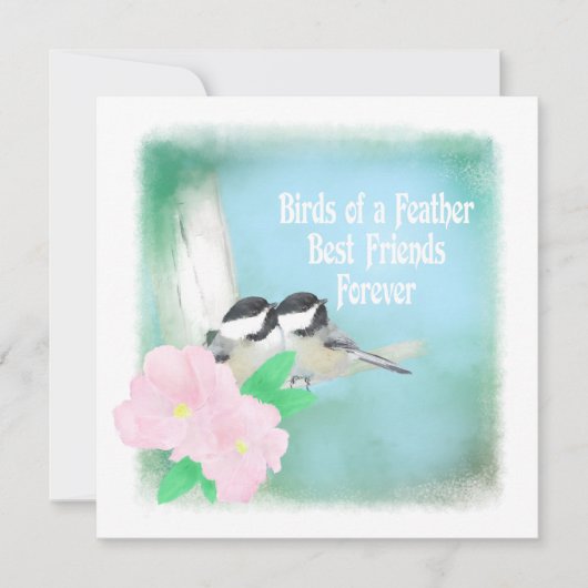 Vogels van een Feather Best Friends Forever (Voorkant)