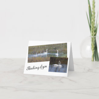 Vogels van een ledige aantekeningen bedankkaart