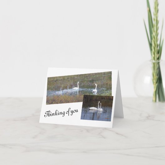 Vogels van een ledige aantekeningen bedankkaart (Voorkant)