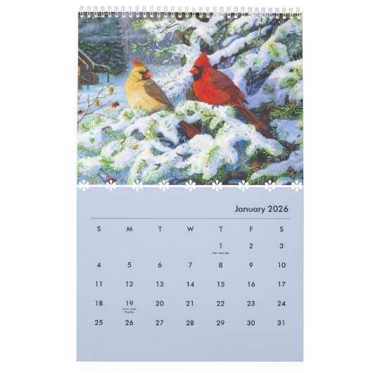 Vogels van een Veer Kalender 2024 (Jan 2026)