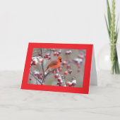 VOGELS VAN EEN VEER/VERJAARDAG VIEREN SAMEN! KAART (Voorkant)