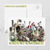 Vogels van een zeebodem briefkaart (Voorkant / Achterkant)