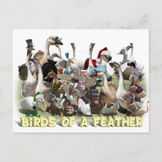 Vogels van een zeebodem briefkaart (Voorkant)