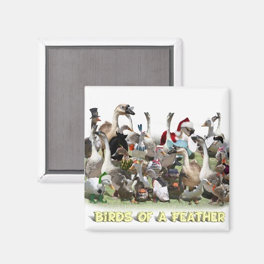 Vogels van een zeebodem magneet (Voorkant / Achterkant)