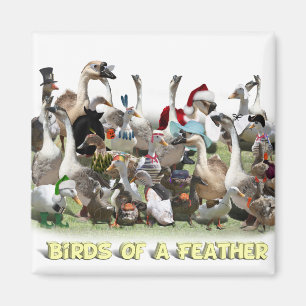 Vogels van een zeebodem magneet