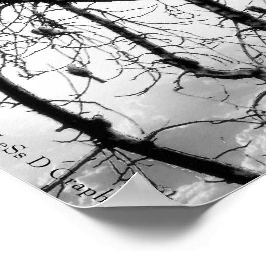 Vogels van een zeebodem poster (Hoek)