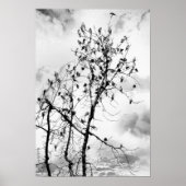 Vogels van een zeebodem poster (Voorkant)