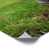 "Vogels van een zeebodem" Poster (Hoek)