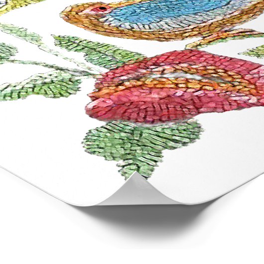 Vogels van een zeebodem poster (Hoek)