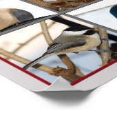 Vogels van een zeebodem (POSTER) Poster (Hoek)