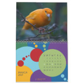 vogels van een zeemkalender kalender (Mar 2027)