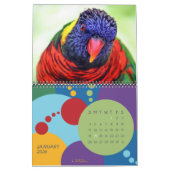 vogels van een zeemkalender kalender (Jan 2026)
