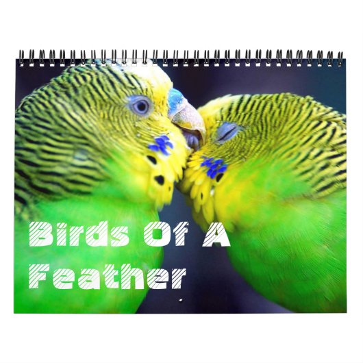 vogels van een zeemkalender kalender (Hoes)