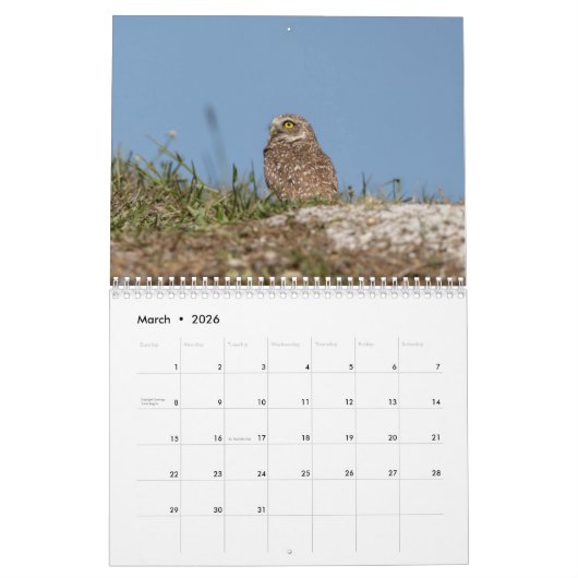 Vogels van Florida 2026 Kalender (Mar 2026)