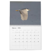 Vogels van Florida 2026 Kalender (Feb 2026)