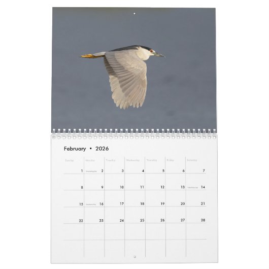 Vogels van Florida 2026 Kalender (Feb 2026)