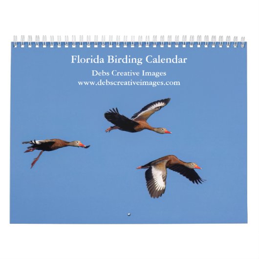 Vogels van Florida 2026 Kalender (Hoes)