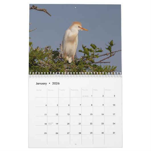 Vogels van Florida 2026 Kalender (Jan 2026)