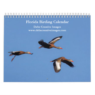 Vogels van Florida 2026 Kalender