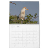 Vogels van Florida 2026 Kalender (Jan 2027)