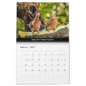 Vogels van Gambia 2024 Kalender (Feb 2027)