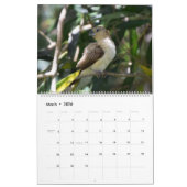 Vogels van Hawaii Kalender (Mar 2026)