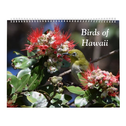 Vogels van Hawaii Kalender (Hoes)