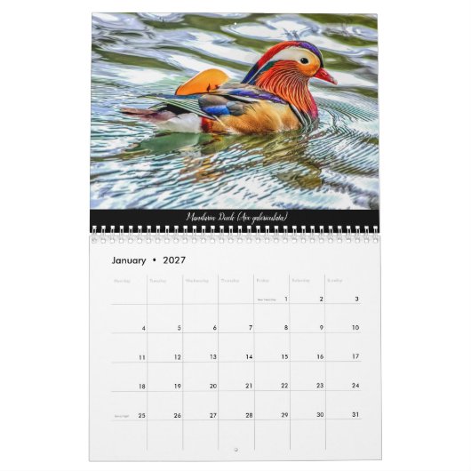 Vogels van het bos van Dean 2021-kalender Kalender (Jan 2027)