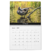 Vogels van het bos van Dean 2022-kalender Kalender (Mar 2027)