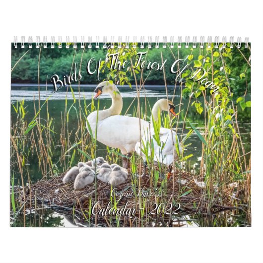 Vogels van het bos van Dean 2022-kalender Kalender (Hoes)
