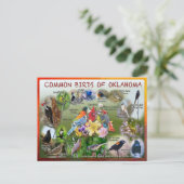 vogels van het briefkaart Oklahoma 19r (Staand voorkant)