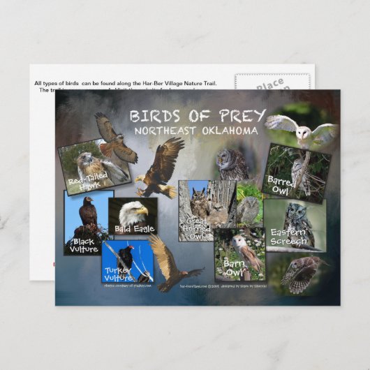 vogels van het briefkaart Prey Oklahoma 19dk-z (Voorkant / Achterkant)