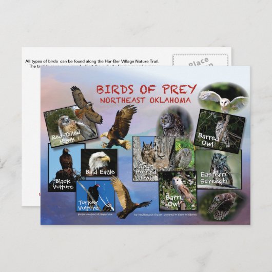 vogels van het briefkaart Prey Oklahoma 19r (Voorkant / Achterkant)